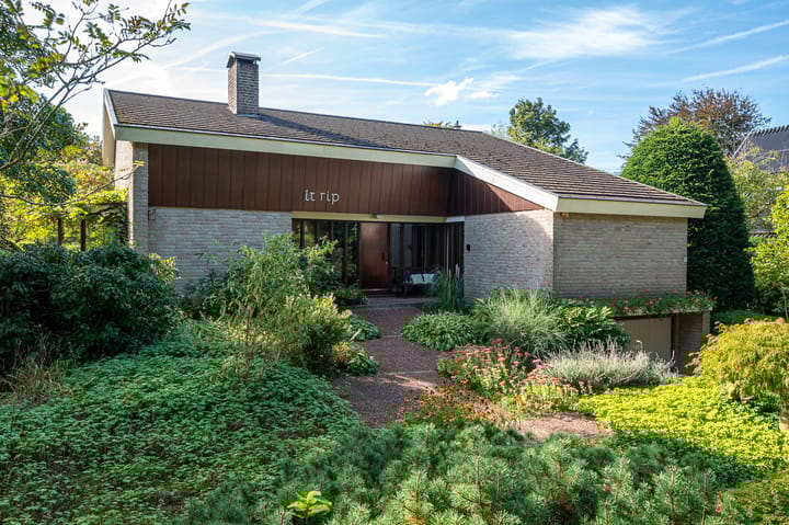 Foto 7 van Elsschotlaan 14