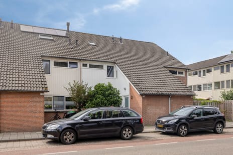 undefined main image