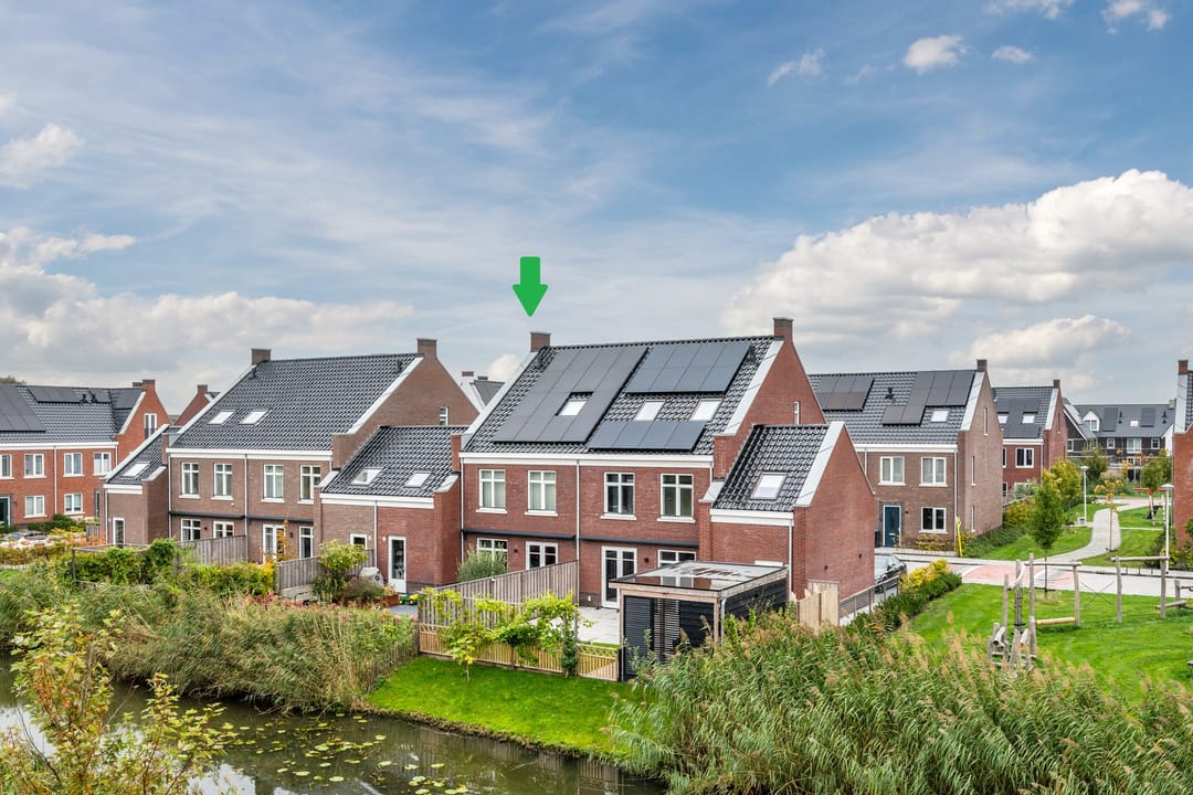 Foto 2 van Pinksterbloem 5