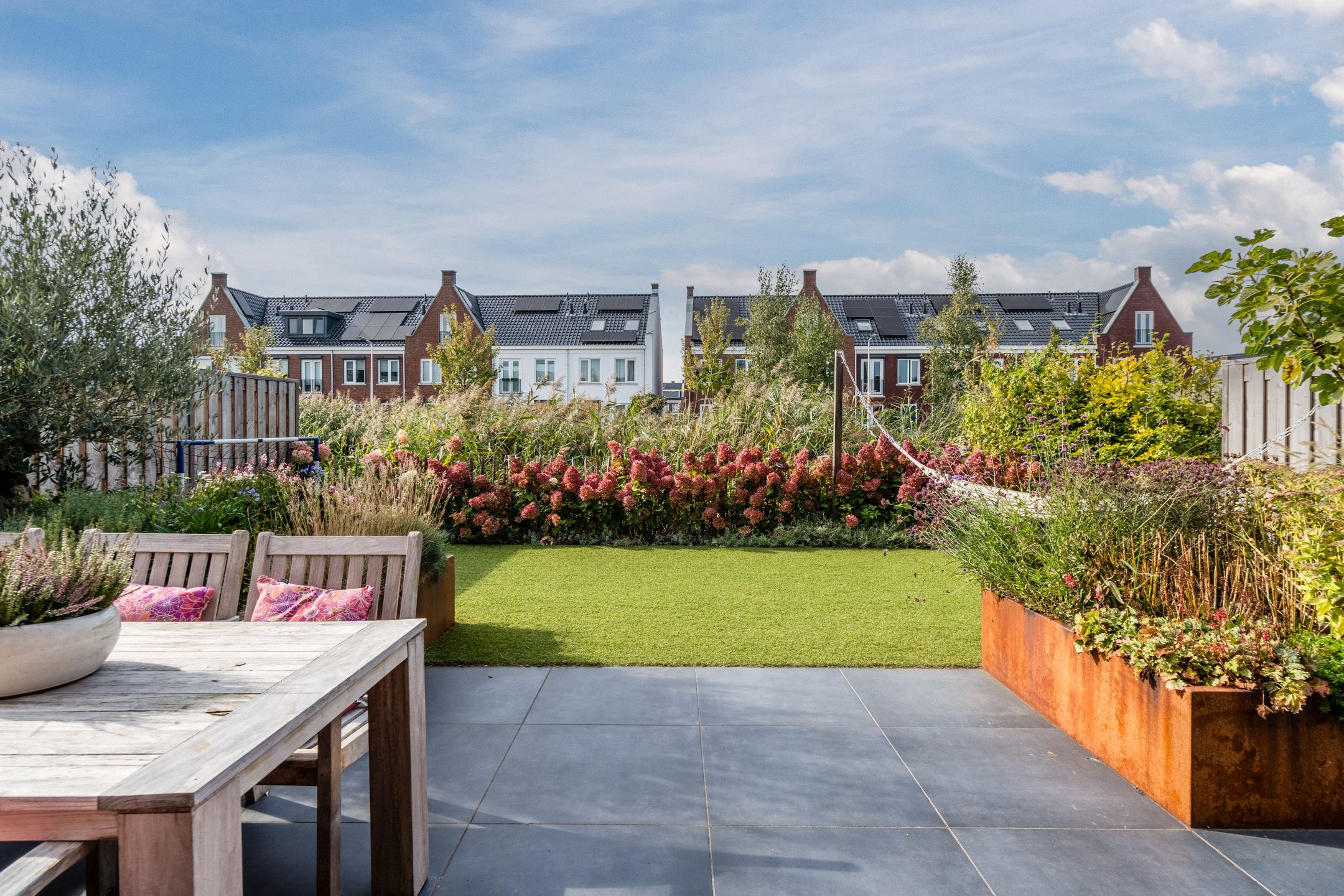 Foto 6 van Pinksterbloem 5