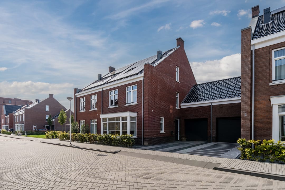 Foto 7 van Pinksterbloem 5