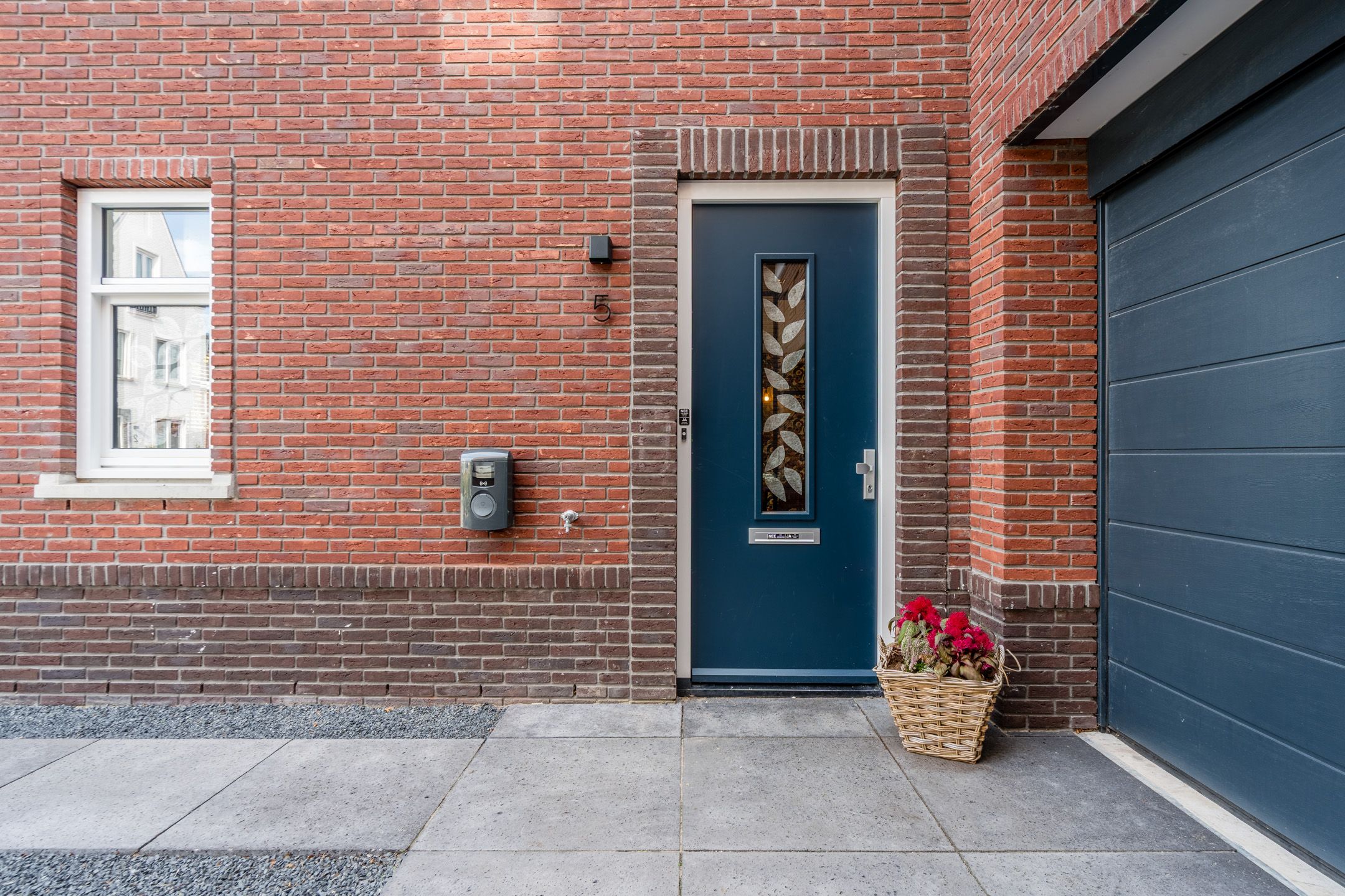 Foto 9 van Pinksterbloem 5