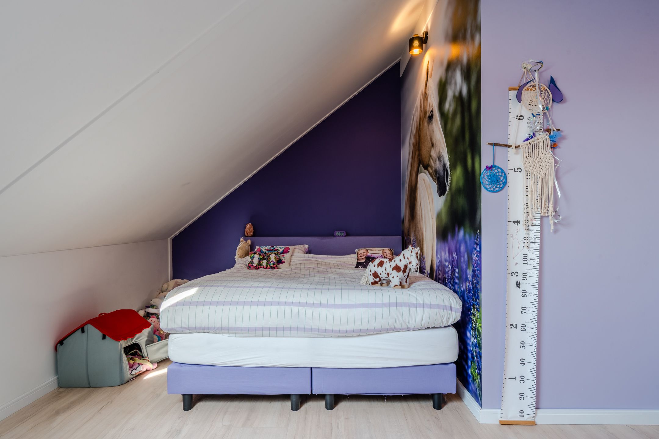 Foto 54 van Pinksterbloem 5