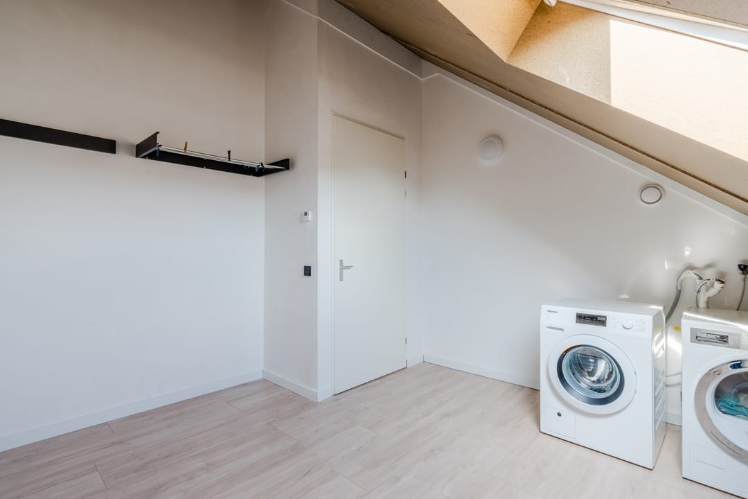 Foto 56 van Pinksterbloem 5