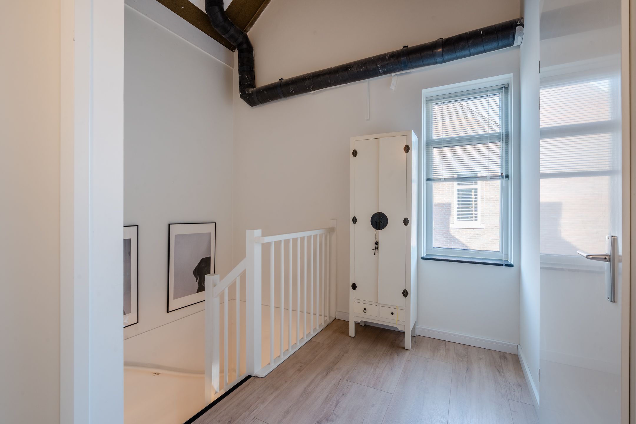 Foto 57 van Pinksterbloem 5