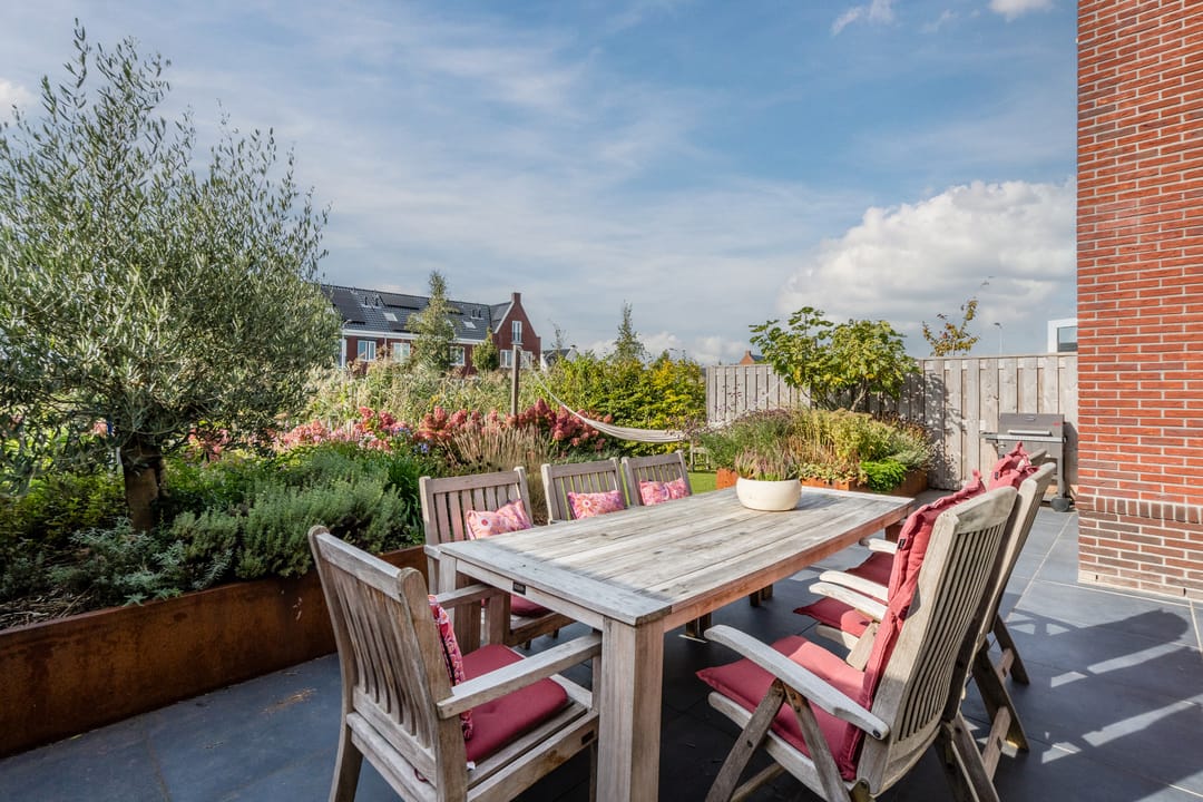 Foto 58 van Pinksterbloem 5