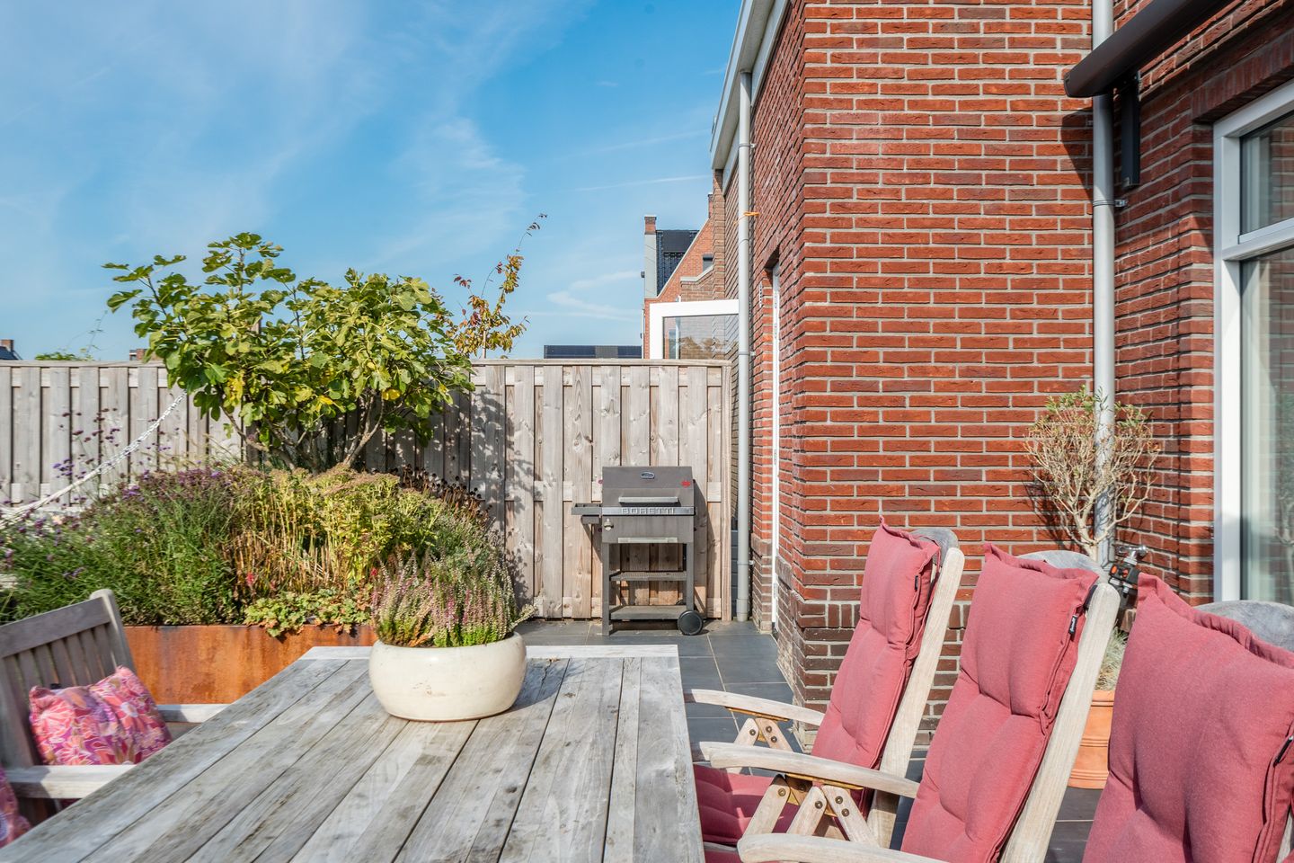 Foto 59 van Pinksterbloem 5