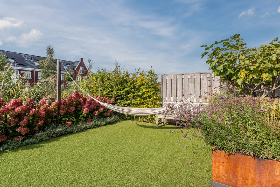 Foto 62 van Pinksterbloem 5