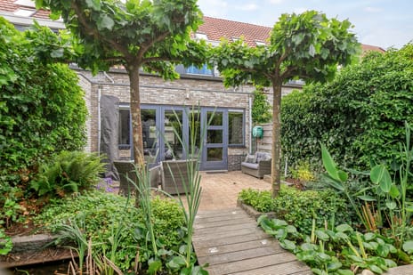 undefined main image