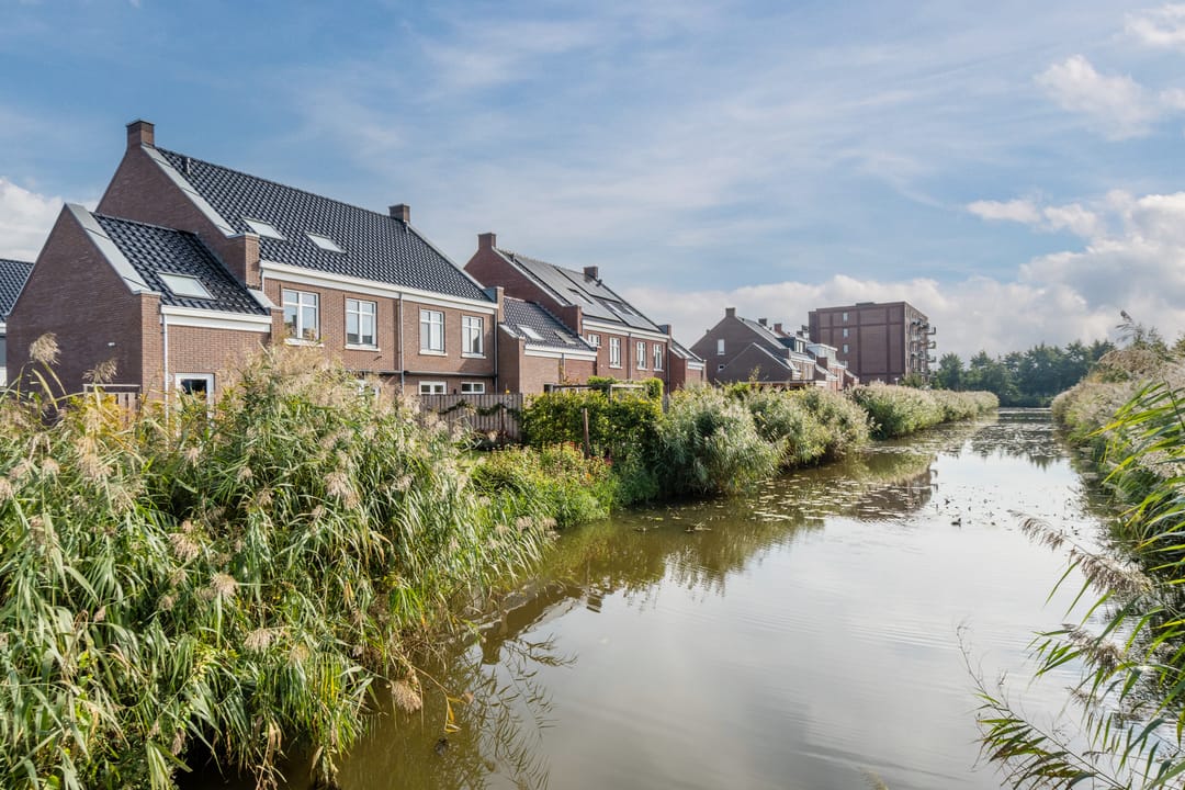 Foto 68 van Pinksterbloem 5