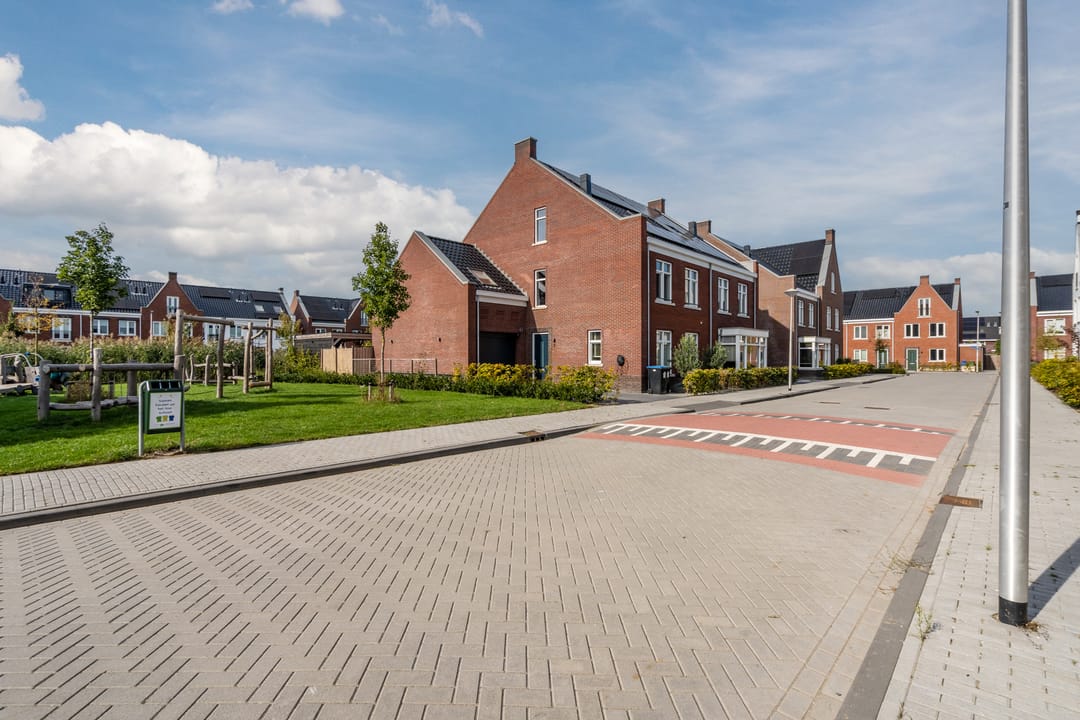 Foto 71 van Pinksterbloem 5