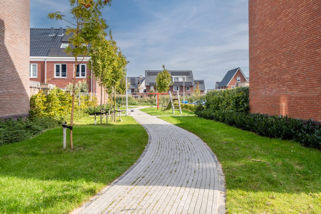 Foto 73 van Pinksterbloem 5