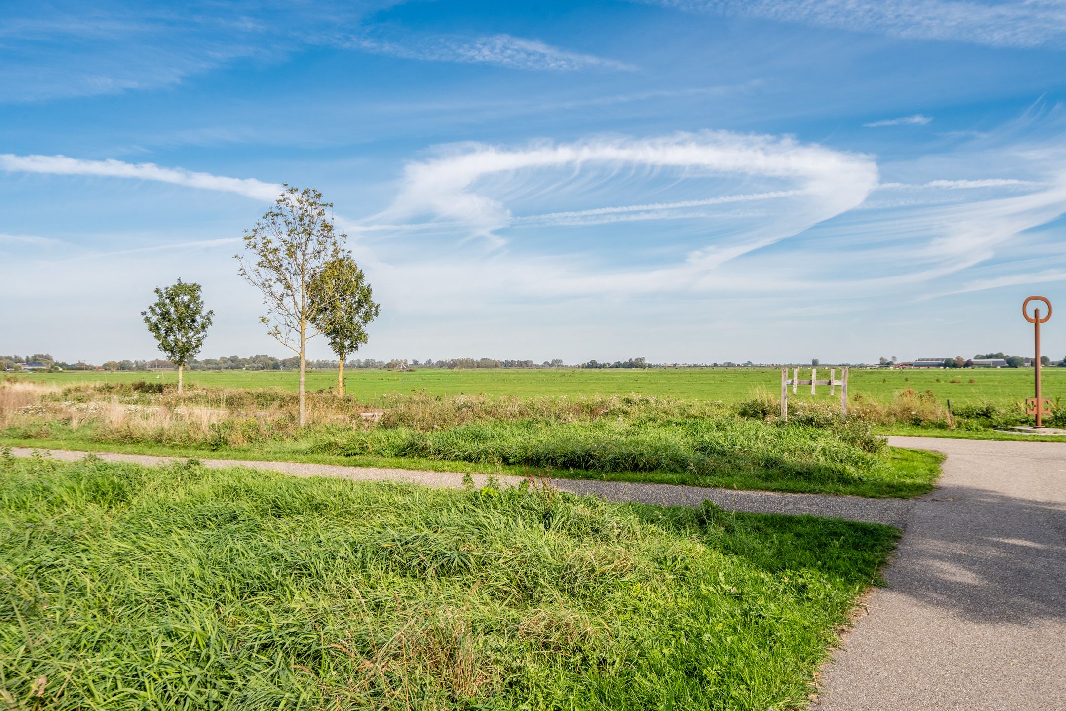 Foto 75 van Pinksterbloem 5