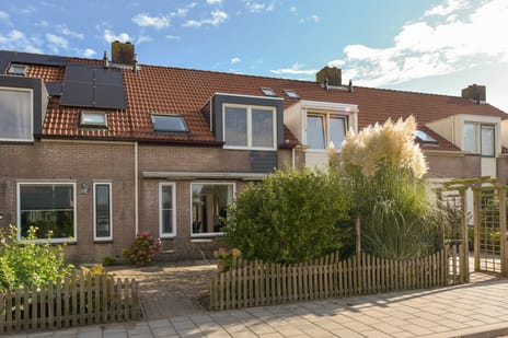 undefined main image