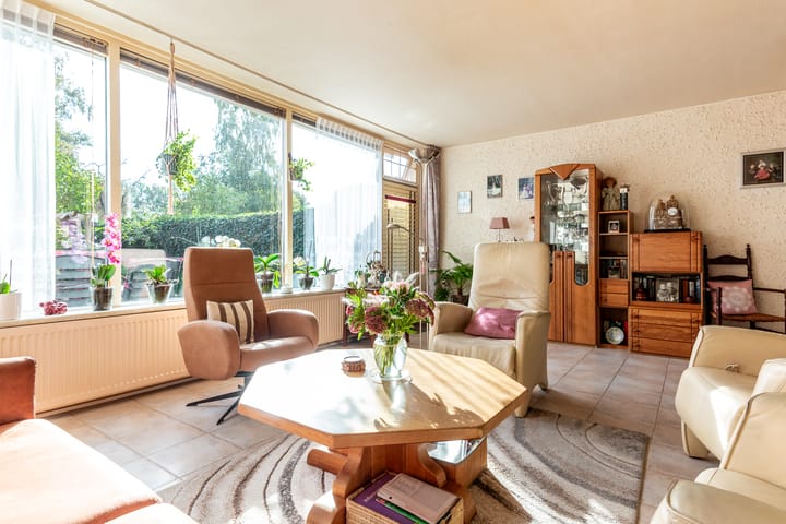 Foto 8 van Karveel 20 3