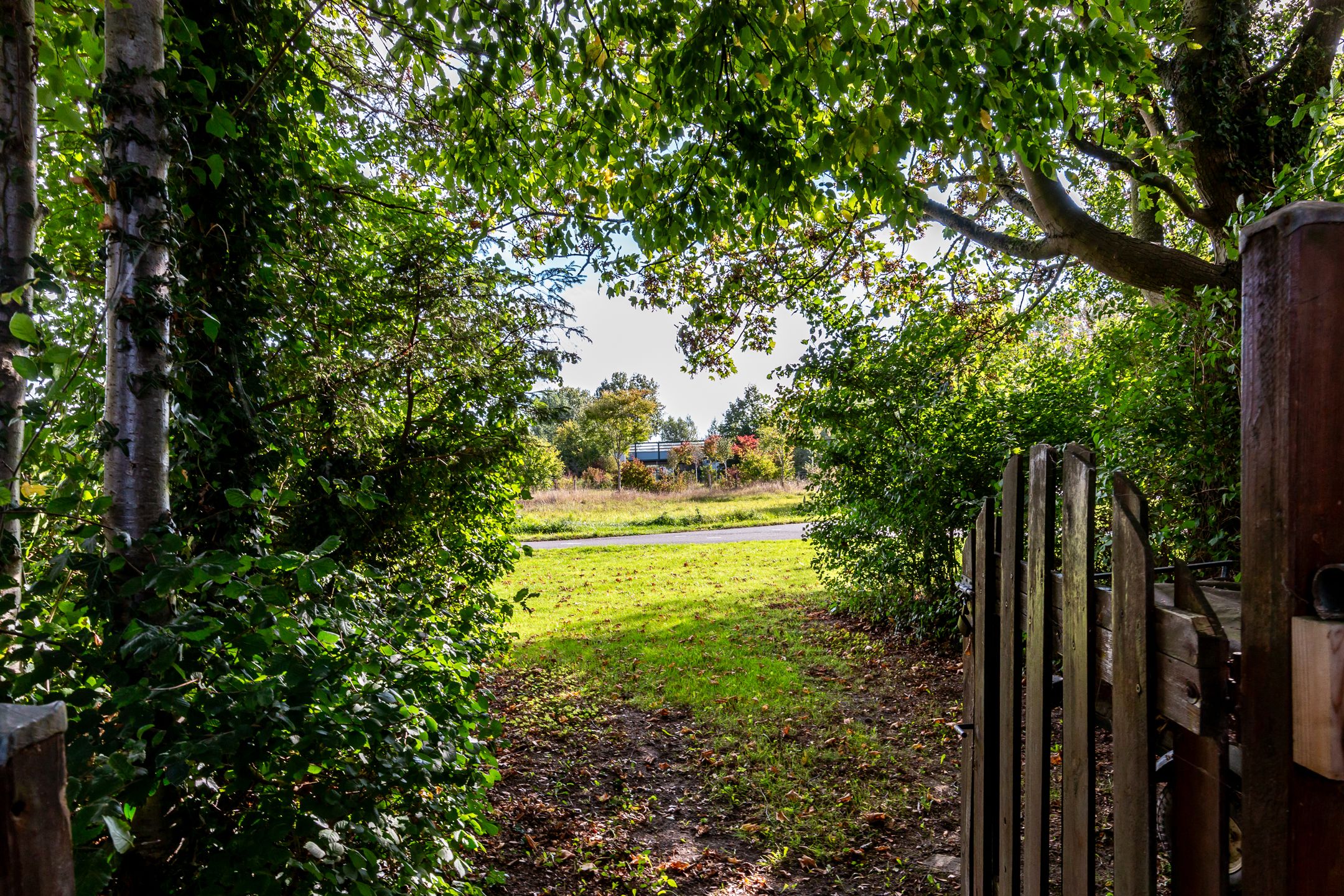 Foto 33 van Karveel 20 3