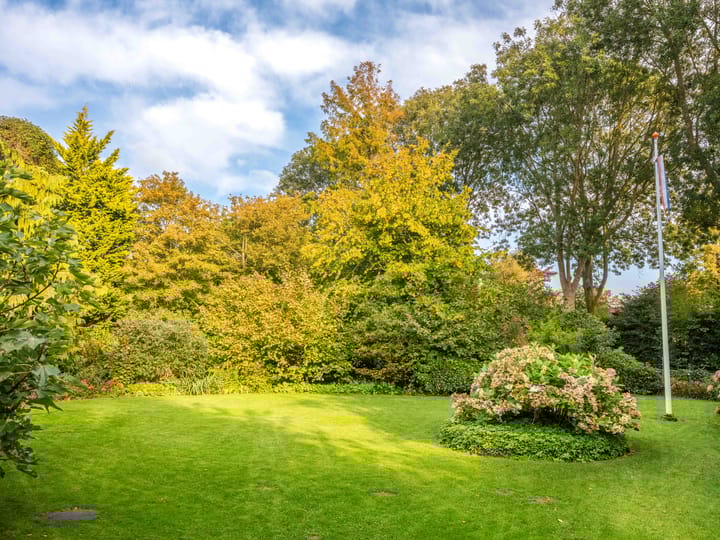 Photo 52 of Schumanlaan 15