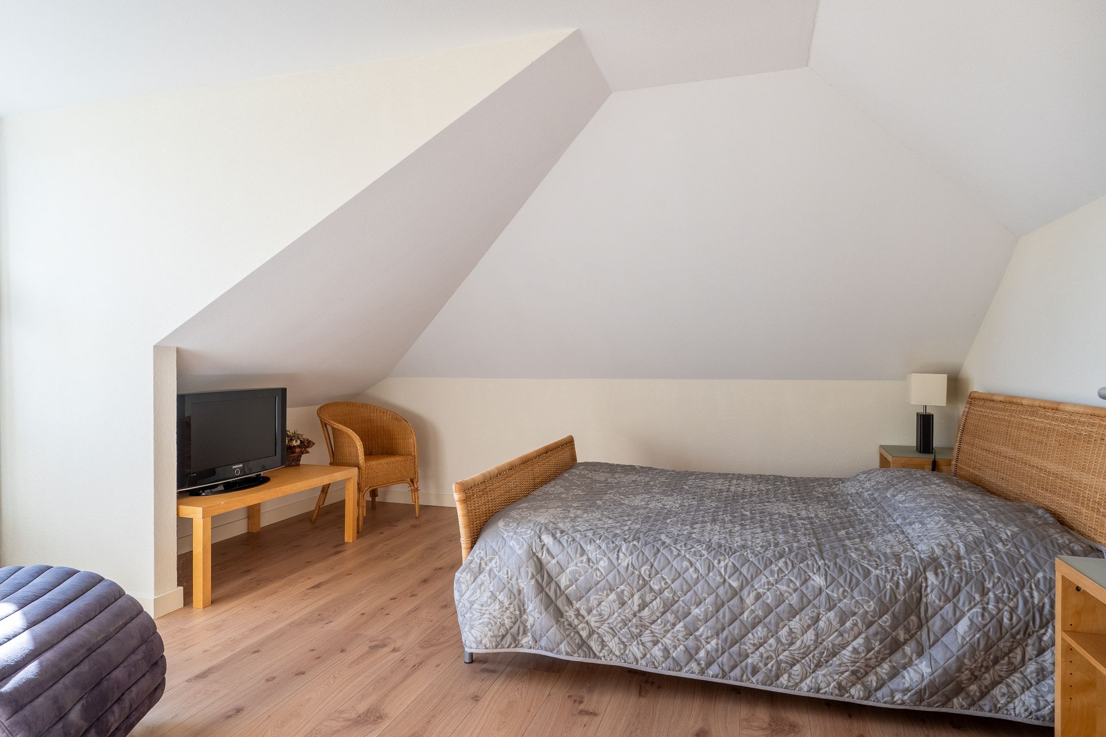 Foto 42 van Moleplaat 20