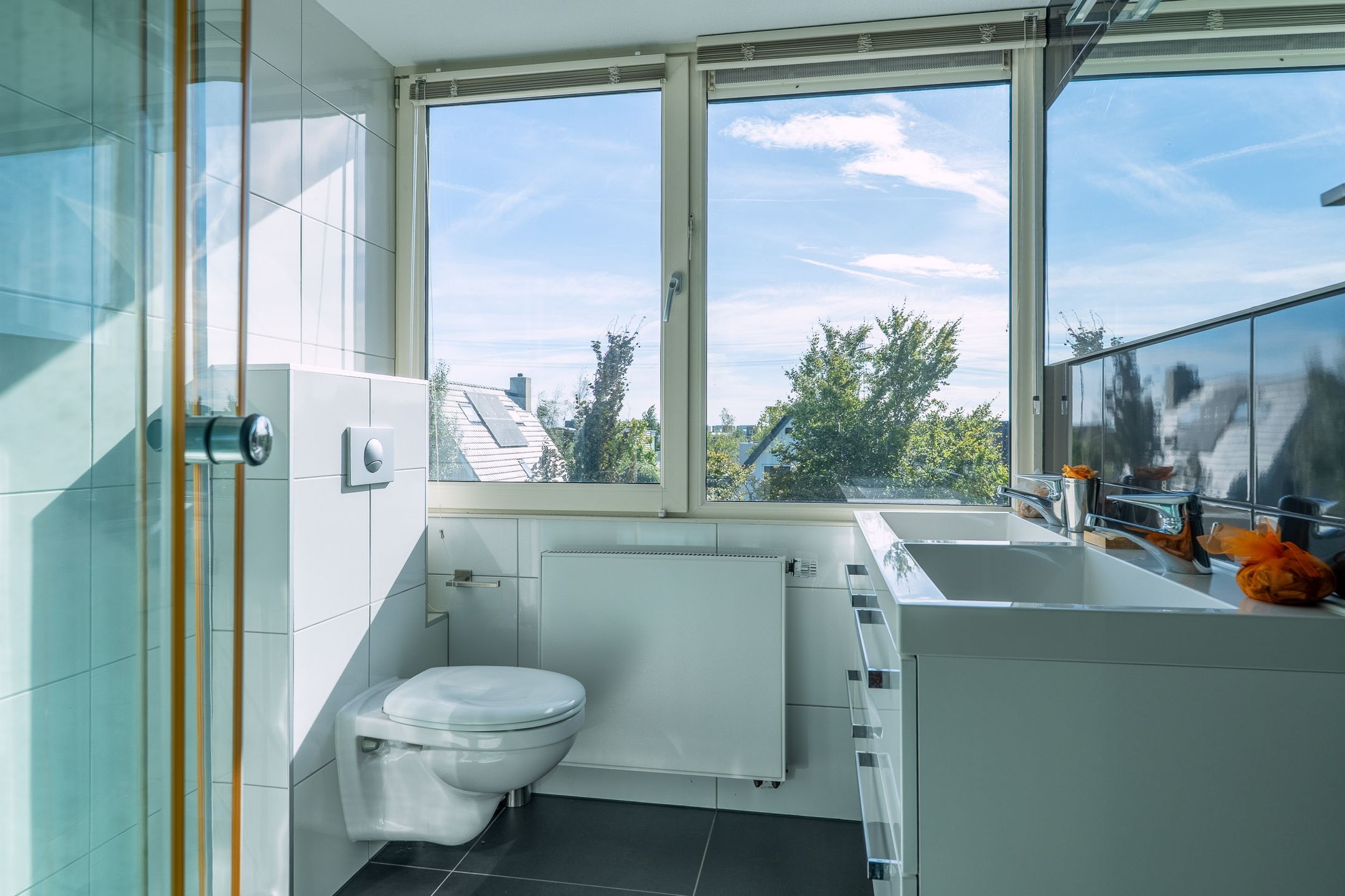 Foto 45 van Moleplaat 20