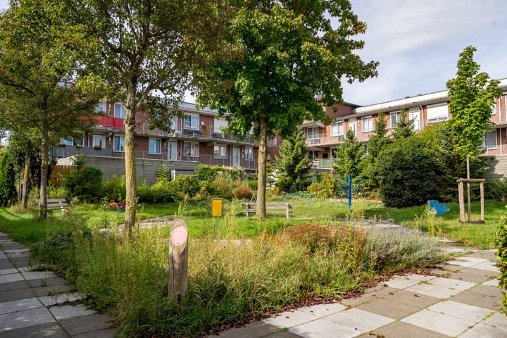 Foto 41 van Kerseboomgaard 24