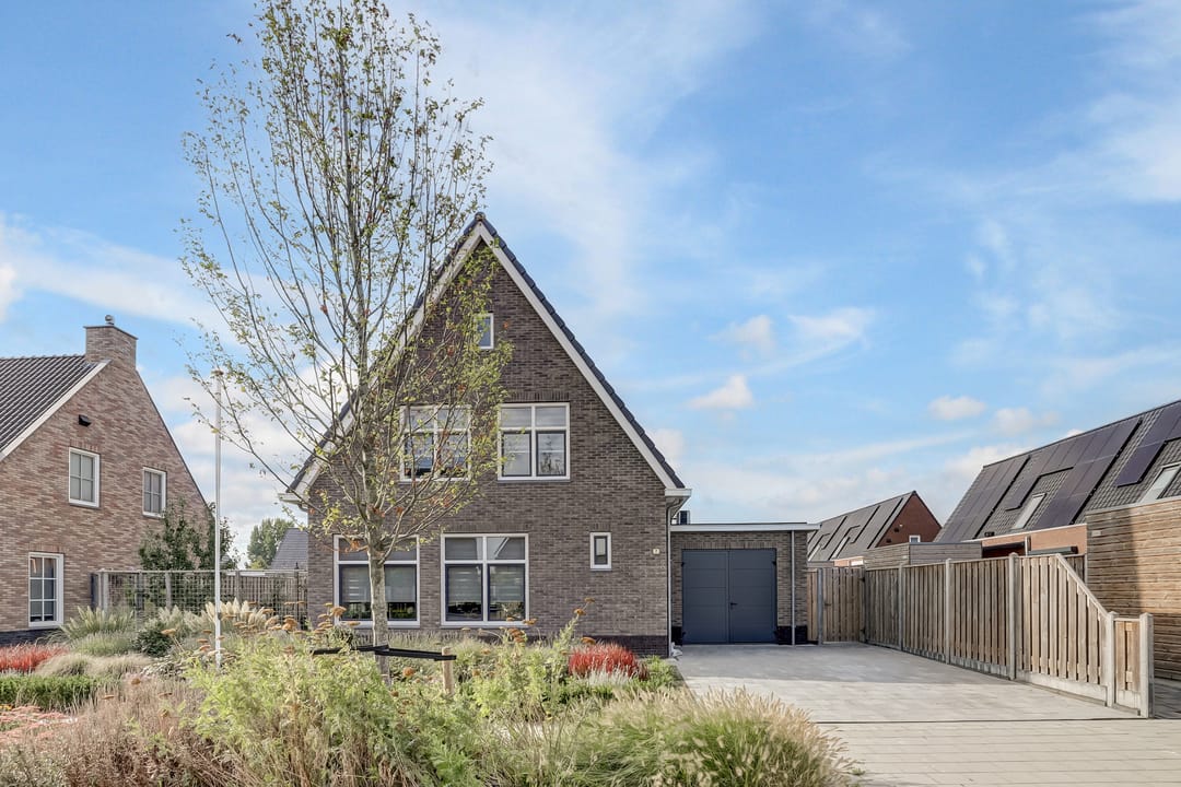 Foto 2 van Lapjeskat 2