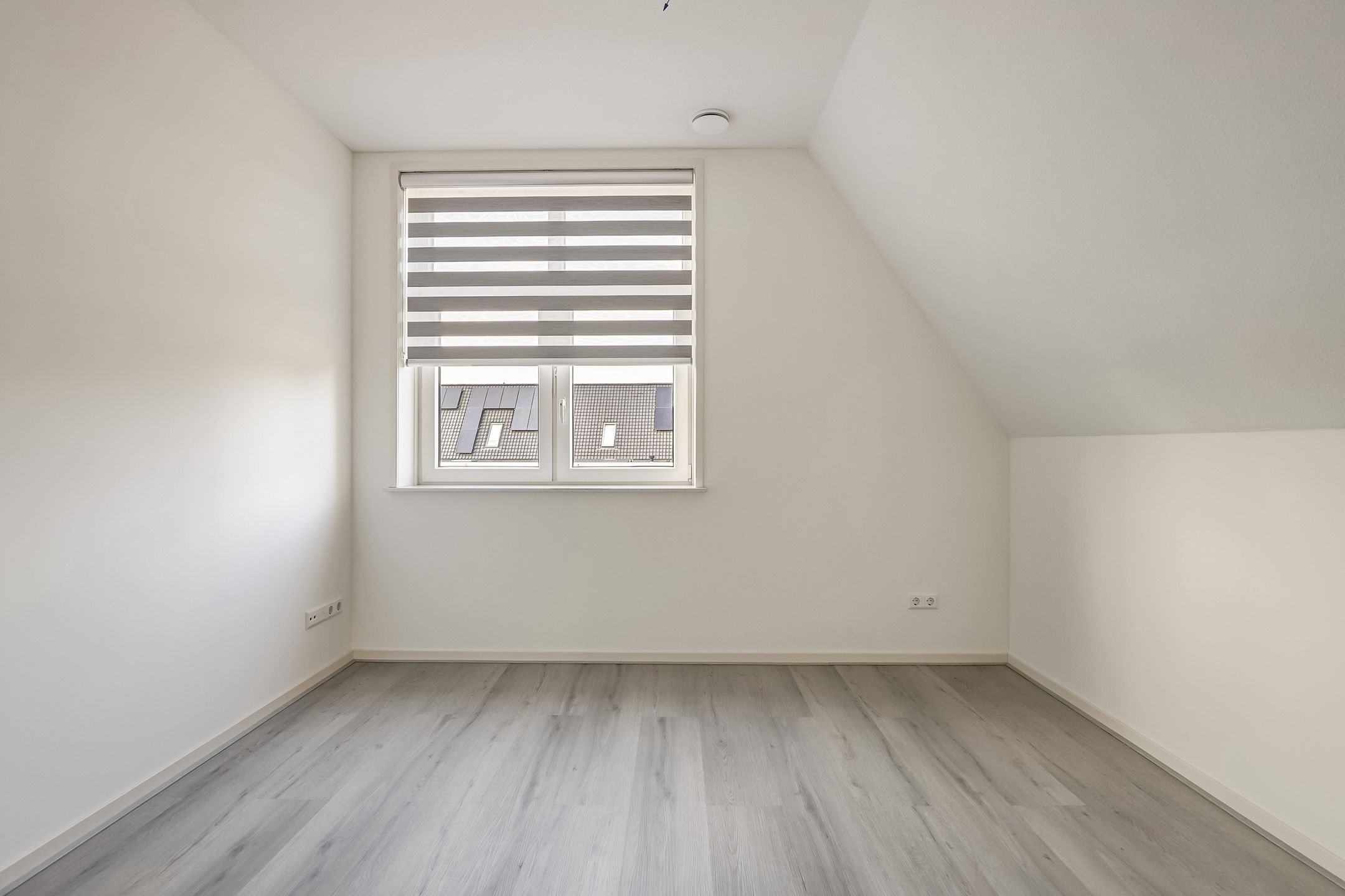 Foto 24 van Lapjeskat 2