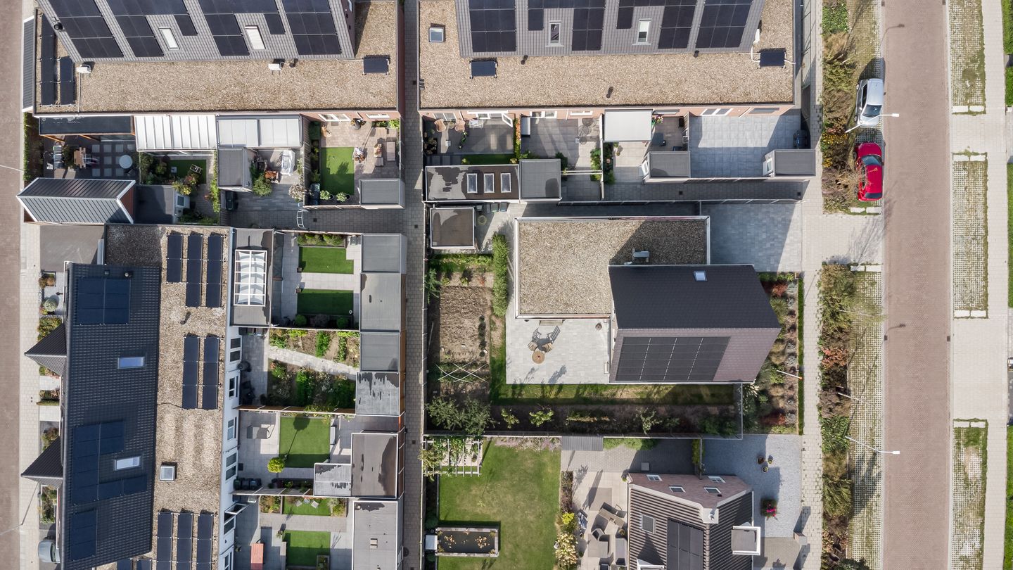 Foto 40 van Lapjeskat 2