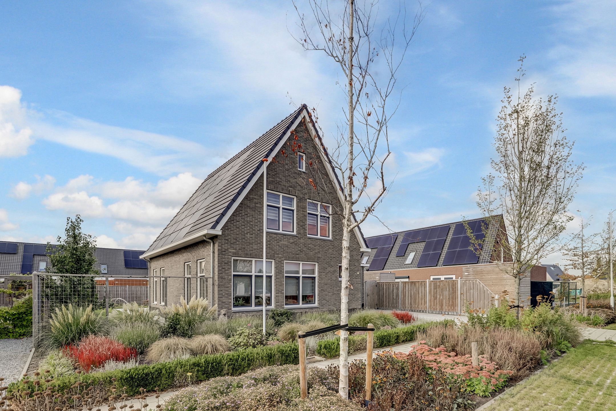 Foto 45 van Lapjeskat 2