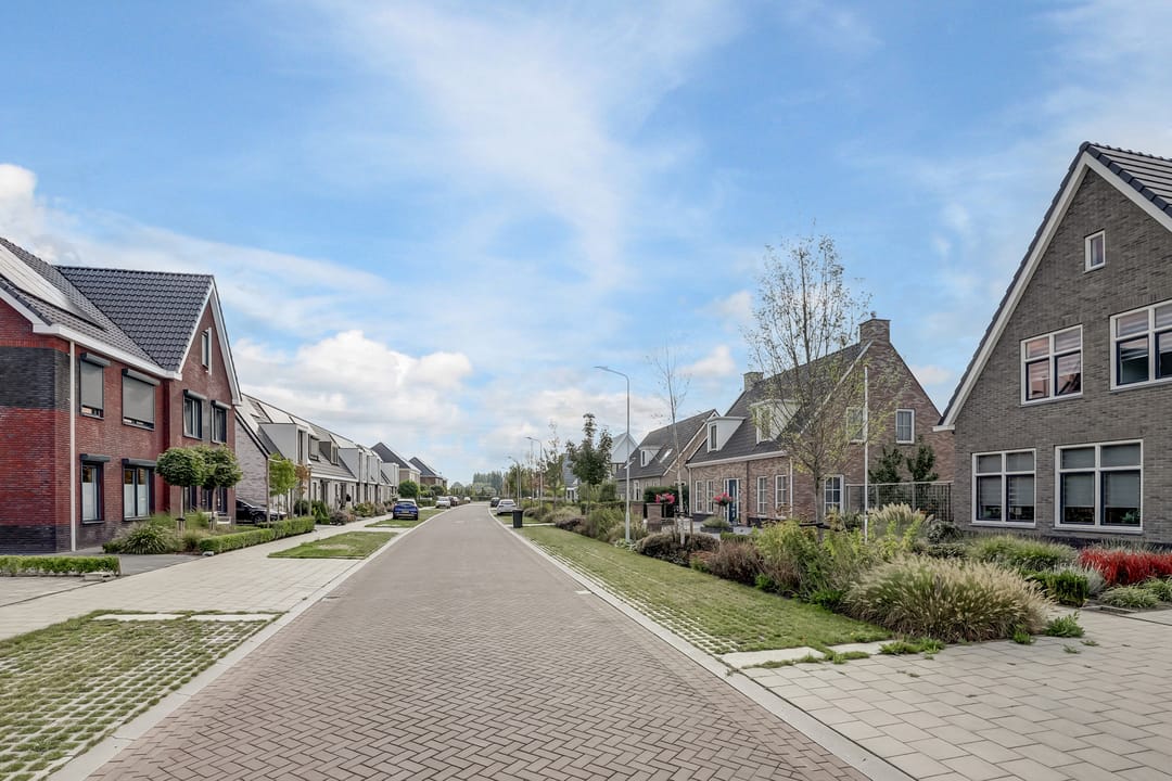 Foto 47 van Lapjeskat 2