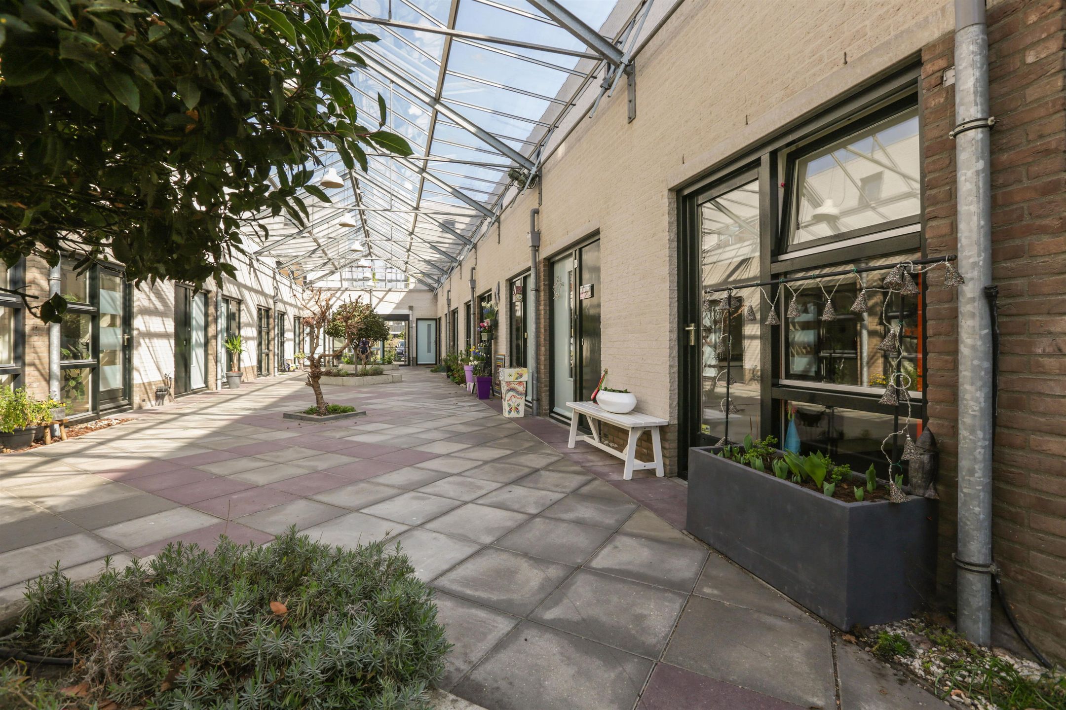 Foto 6 van Heimans-serre 14