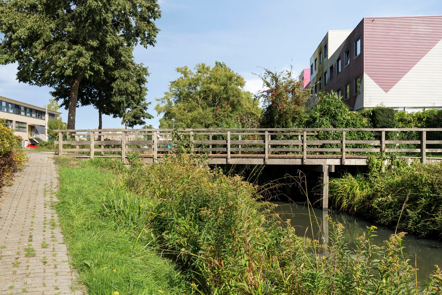 Foto 34 van Heimans-serre 14