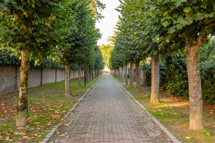 Photo 34 of Mazijk 5