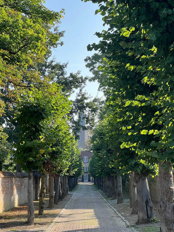 Photo 42 of Mazijk 5