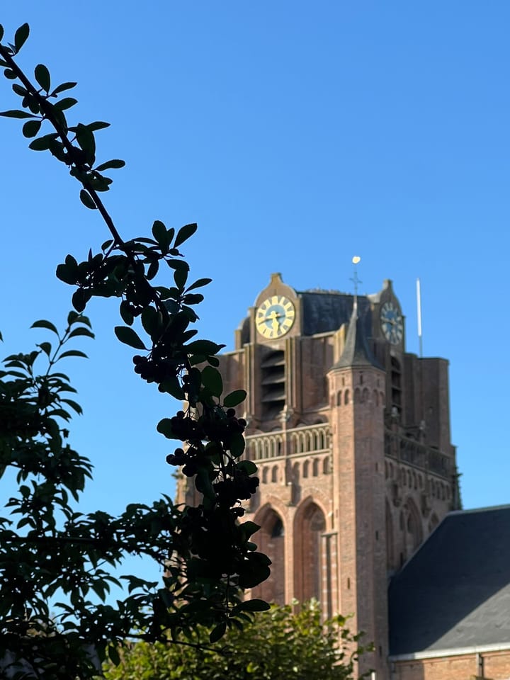 Photo 43 of Mazijk 5