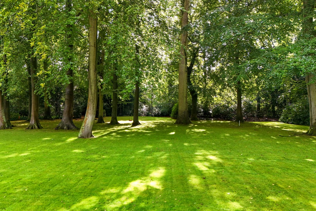 Foto 2 van Groen van Prinstererlaan kavel 1