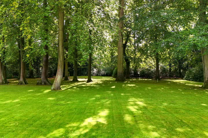 Foto 2 van Groen van Prinstererlaan kavel 1