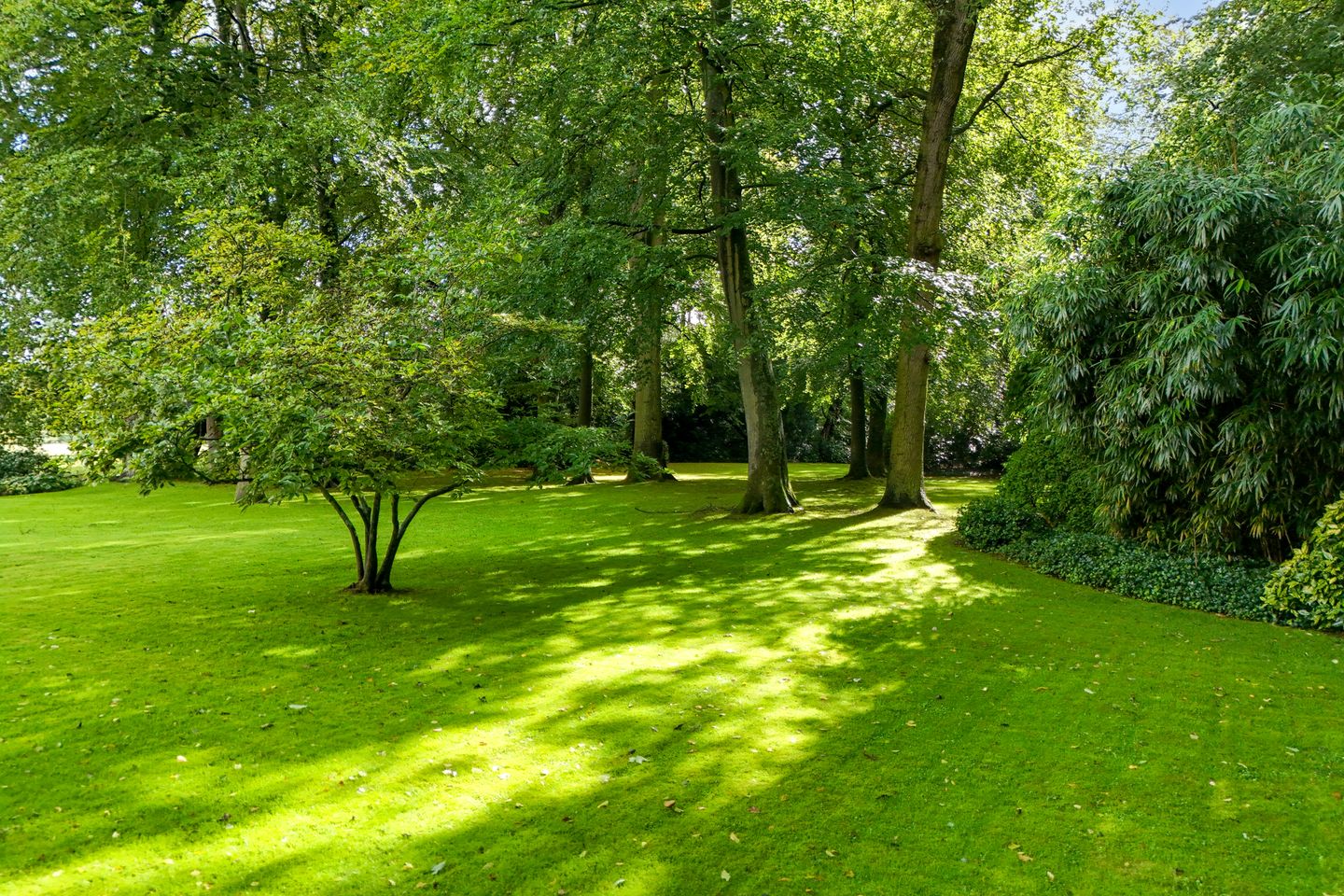 Foto 4 van Groen van Prinstererlaan kavel 1