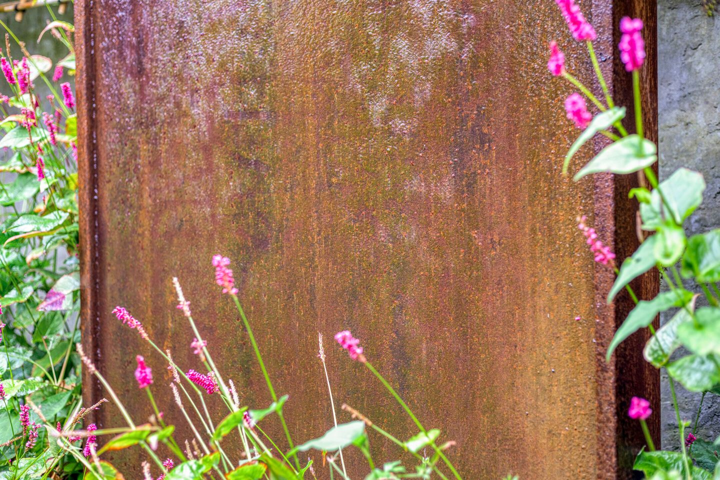 Foto 40 van Rentenierstraat 34