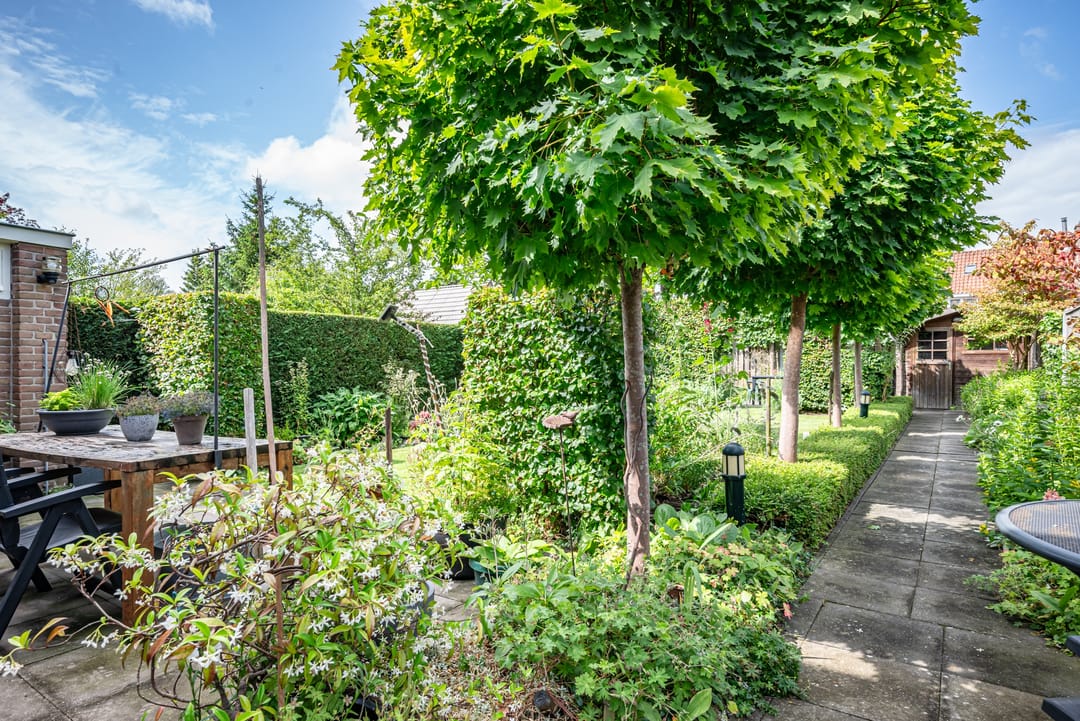 Photo 38 of Lindenlaan 35