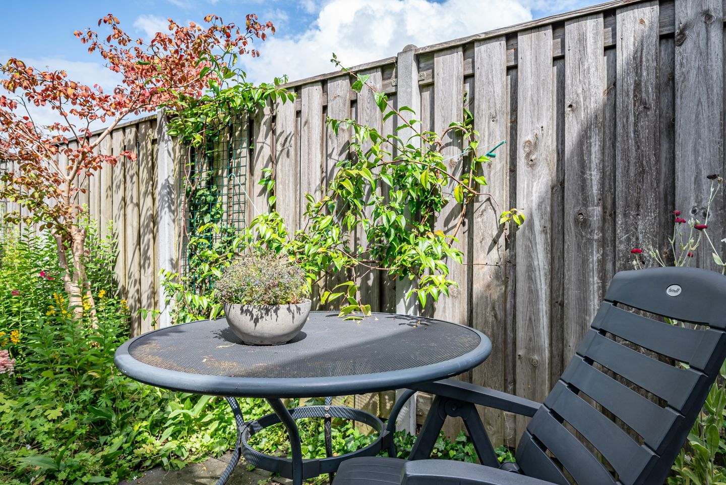 Photo 40 of Lindenlaan 35