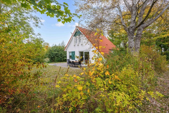 Foto 24 van De Rug 3-69