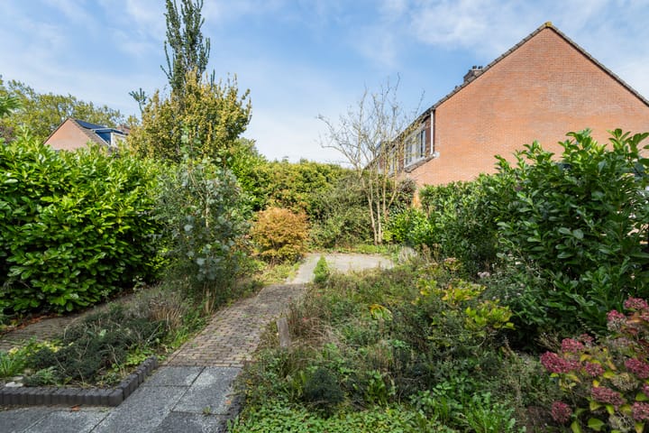 Foto 3 van Spinbolmolen 15