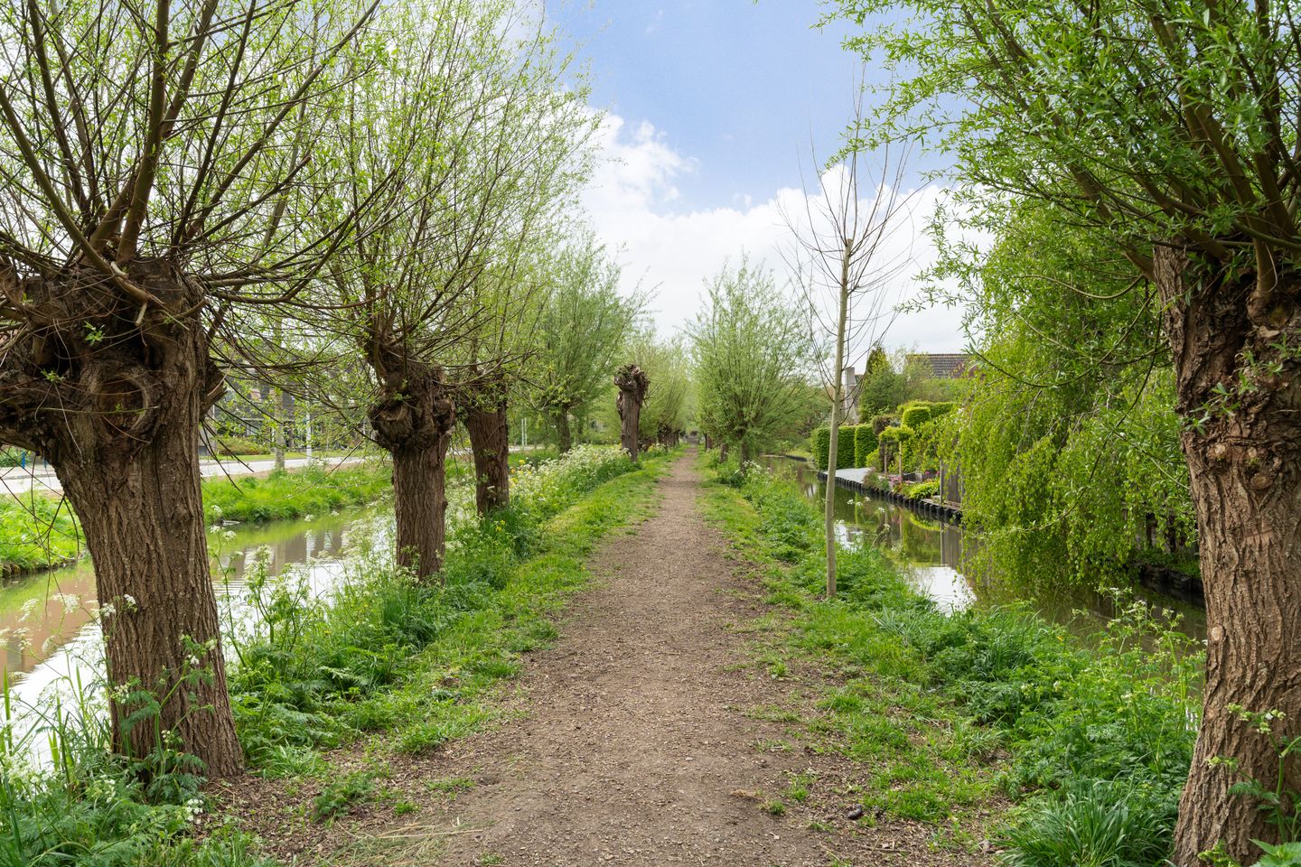 Foto 40 van Spinbolmolen 15