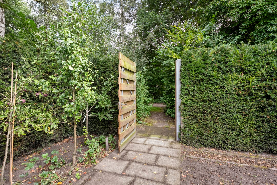 Foto 47 van Van Haeringenstraat 53