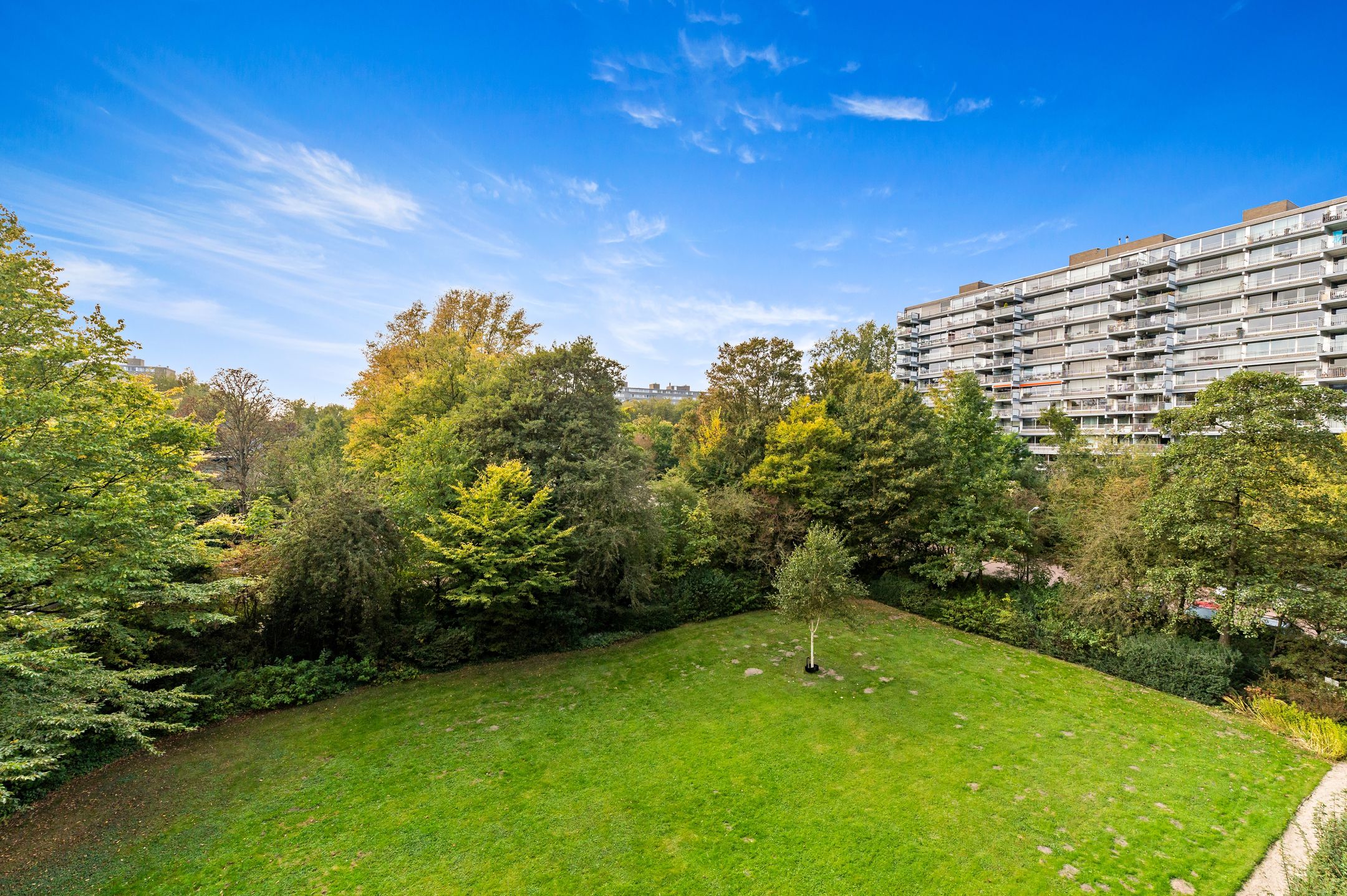 Foto 6 van Roland Holstlaan 996