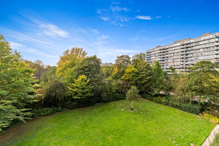 Photo 6 of Roland Holstlaan 996