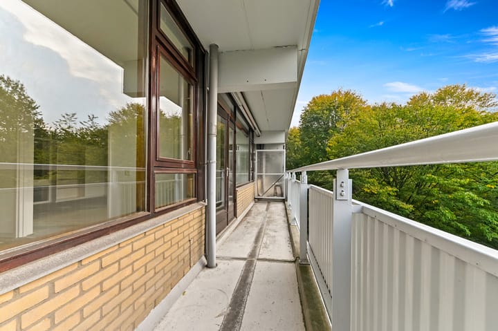 Photo 7 of Roland Holstlaan 996