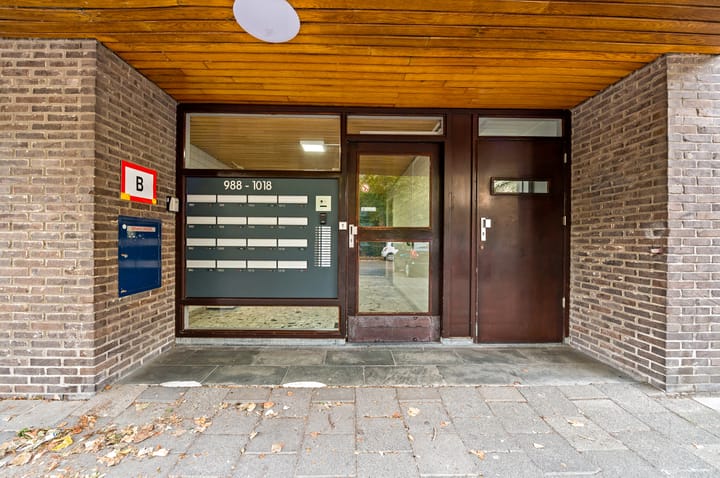 Photo 21 of Roland Holstlaan 996