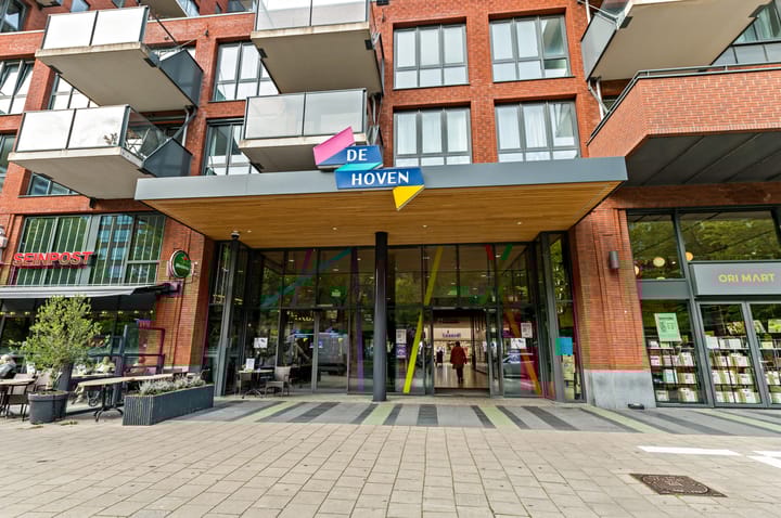 Photo 32 of Roland Holstlaan 996