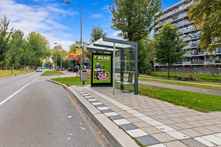 Photo 33 of Roland Holstlaan 996